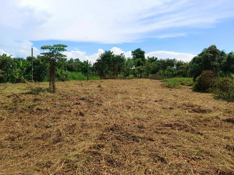 For Sale - ที่ดินบ้านใหญ่ นครนายก, Nakhon Nayok