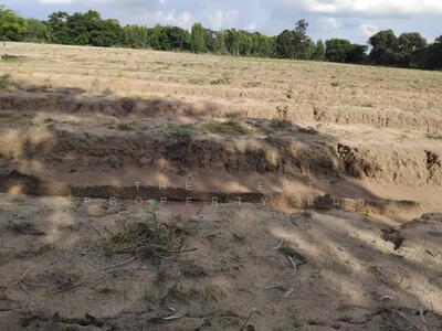 ขาย - ที่ดินเขื่องใน อุบลราชธานี, อุบลราชธานี