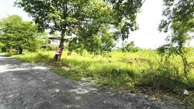 ขาย - ที่ดินหนองจอก กรุงเทพมหานคร, กรุงเทพ