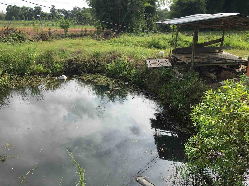 Land for sale in Hua Wa, 1 rai, concrete road frontage, suitable for gardening,, Prachin Buri, Hua Wa, Sri Maha Pho, Prachin Buri, , 2,552 sqm, Land For Sale, by RICHWELL INTERPLUS, 60219374 - DDproperty.com