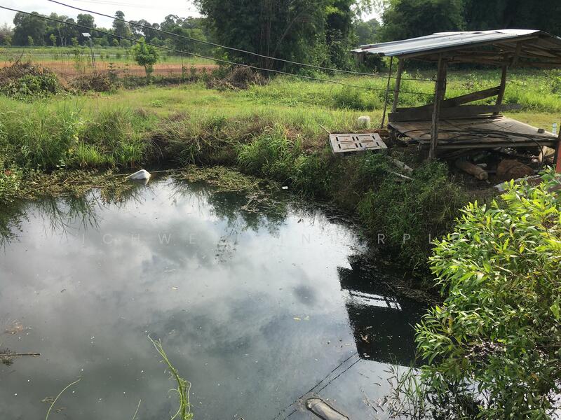Land for sale in Hua Wa, 1 rai, concrete road frontage, suitable for gardening,, Prachin Buri, Hua Wa, Sri Maha Pho, Prachin Buri, , 2,552 sqm, Land For Sale, by RICHWELL INTERPLUS, 60219374 - DDproperty.com