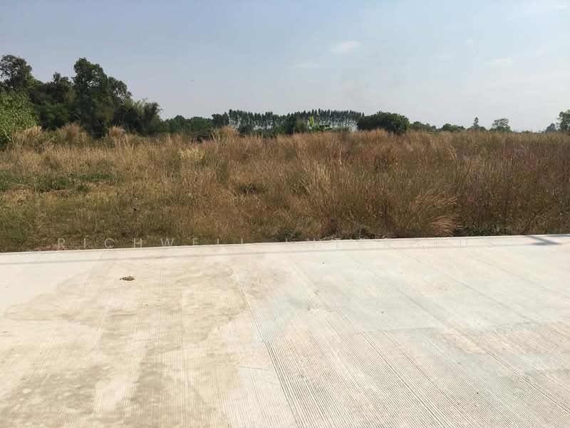 Land for sale in Hua Wa, 1 rai, concrete road frontage, suitable for gardening,, Prachin Buri, Hua Wa, Sri Maha Pho, Prachin Buri, , 2,552 sqm, Land For Sale, by RICHWELL INTERPLUS, 60219374 - DDproperty.com