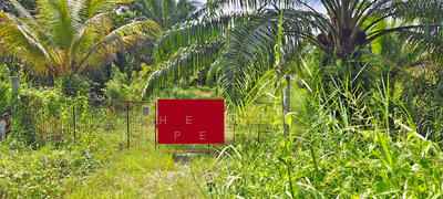 ขาย - ที่ดินท่าซัก นครศรีธรรมราช, นครศรีธรรมราช