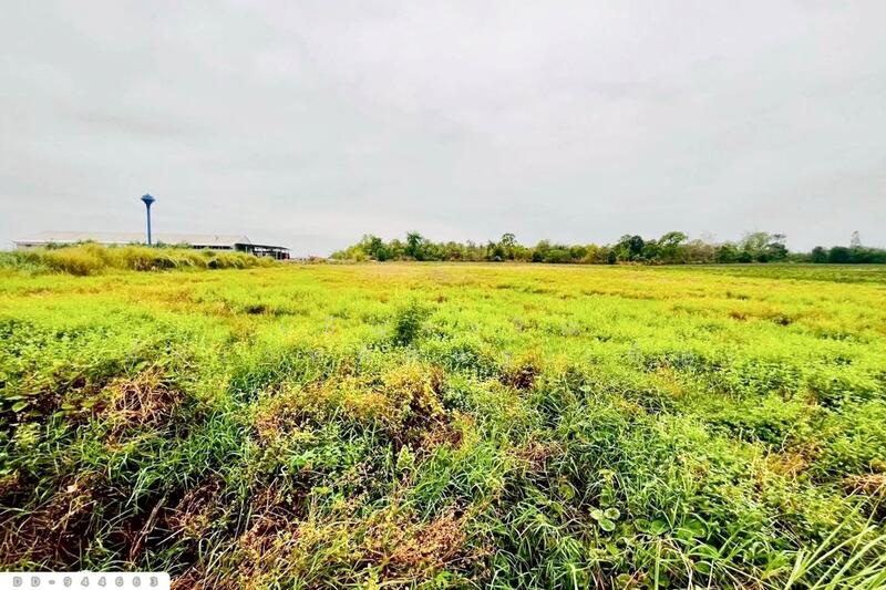 ขาย - DD-944663 ที่ดินหนองหว้า 44 ไร่ 119 ตร.ว. กุมภวาปี อุดรธานี ใกล้สำนักงานเทศบาลตำบลห้วยเกิ้ง, อุดรธานี