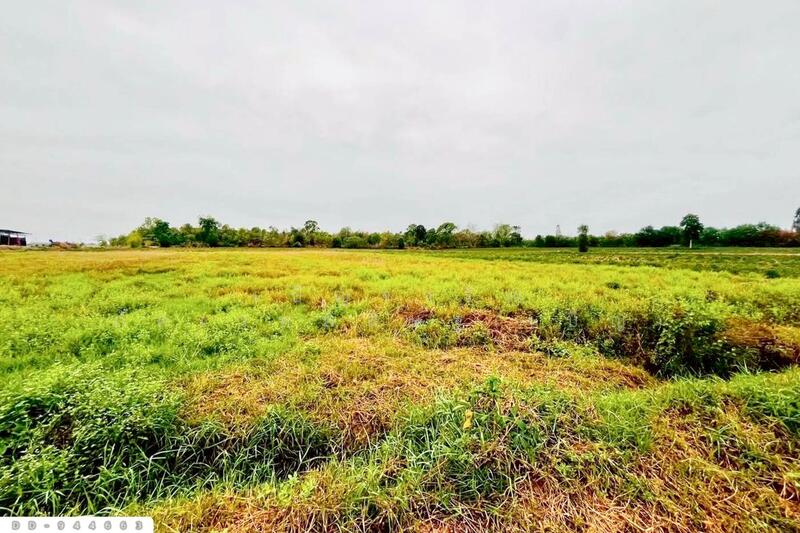 ขาย - DD-944663 ที่ดินหนองหว้า 44 ไร่ 119 ตร.ว. กุมภวาปี อุดรธานี ใกล้สำนักงานเทศบาลตำบลห้วยเกิ้ง, อุดรธานี