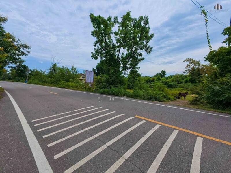 ขาย - พื้นที่สีม่วง ! ขายที่ดิน 7-0-61 ไร่ ต.หนองชุมพล อ.เขาย้อย จ.เพชรบุรี ! เหมาะสำหรับโรงงาน, เพชรบุรี