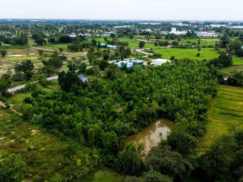 ขาย - พื้นที่สีม่วง ! ขายที่ดิน 7-0-61 ไร่ ต.หนองชุมพล อ.เขาย้อย จ.เพชรบุรี ! เหมาะสำหรับโรงงาน, เพชรบุรี