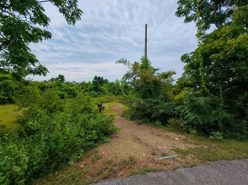 ขาย - พื้นที่สีม่วง ! ขายที่ดิน 7-0-61 ไร่ ต.หนองชุมพล อ.เขาย้อย จ.เพชรบุรี ! เหมาะสำหรับโรงงาน, เพชรบุรี