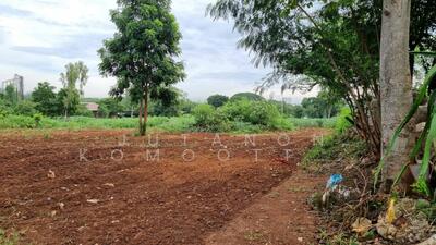 ขาย - ขายที่ดินเปล่า ทำเลดี เดินทางสะดวก มีไฟเข้าถึง ต.ปากช่อง อ.ปากช่อง จ.นครราชสีมา, นครราชสีมา