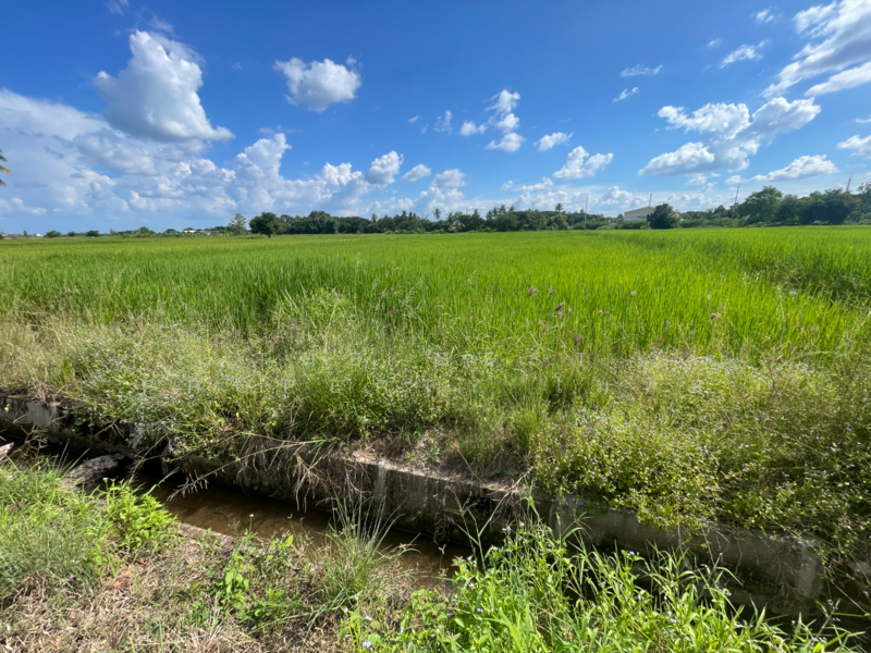 For Sale - ที่ดินศิลา ขอนแก่น, Khon Kaen