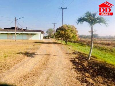 ขาย - ขายที่ดินชลบุรี หนองหงส์ พานทอง ชลบุรี รหัส : L8047, ชลบุรี