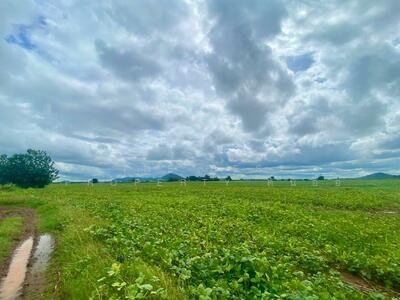 ขาย - ที่ดินตากฟ้า นครสวรรค์, นครสวรรค์