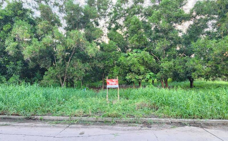 ขาย - ที่ดินคลองหลวง ปทุมธานี, ปทุมธานี