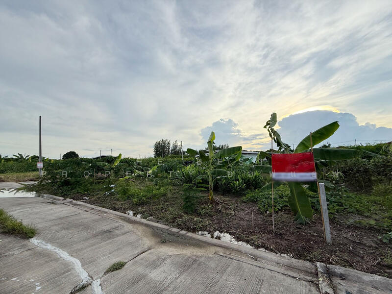 ขาย - หมู่บ้านมายโฮมทาวน์ นครปฐม (Mildhome Town), นครปฐม