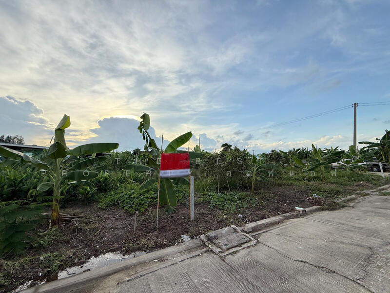 ขาย - หมู่บ้านมายโฮมทาวน์ นครปฐม (Mildhome Town), นครปฐม