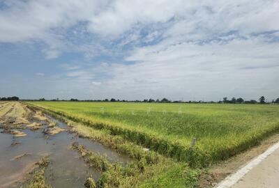 ขาย - วัดนาคราช บางพลีน้อย บางบ่อ สมุทรปราการ, สมุทรปราการ