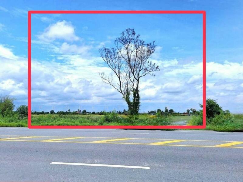 ขาย - ที่ดินโคกโคเฒ่า สุพรรณบุรี, สุพรรณบุรี