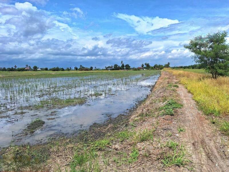 ขาย - ที่ดินโคกโคเฒ่า สุพรรณบุรี, สุพรรณบุรี