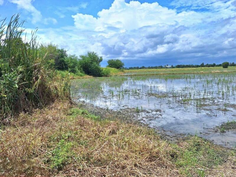 ขาย - ที่ดินโคกโคเฒ่า สุพรรณบุรี, สุพรรณบุรี