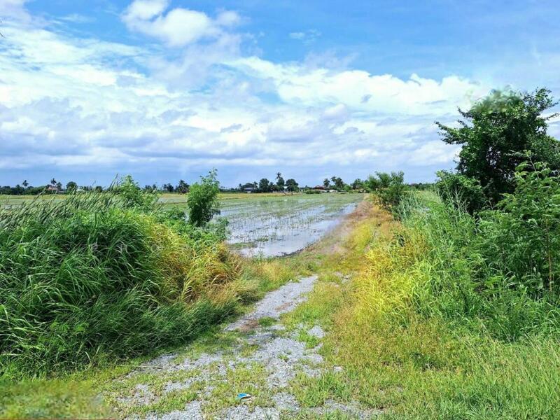 ขาย - ที่ดินโคกโคเฒ่า สุพรรณบุรี, สุพรรณบุรี