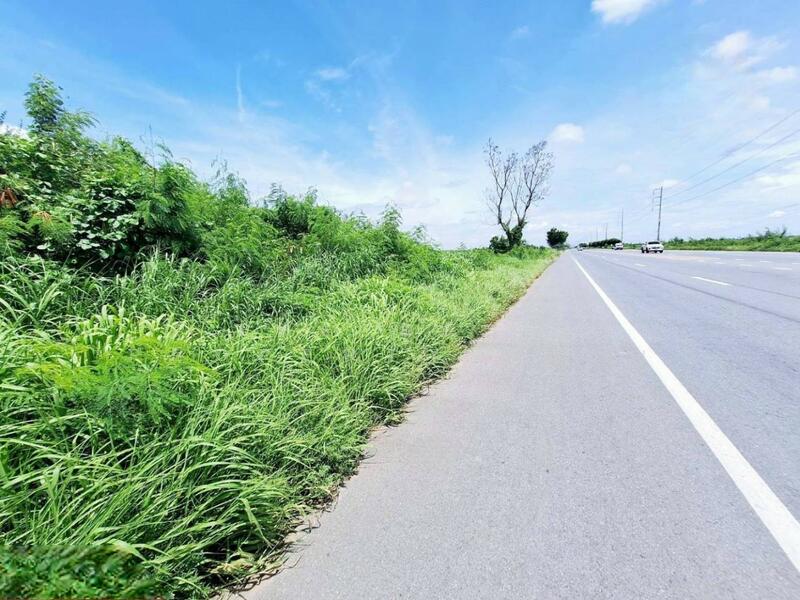 ขาย - ที่ดินโคกโคเฒ่า สุพรรณบุรี, สุพรรณบุรี