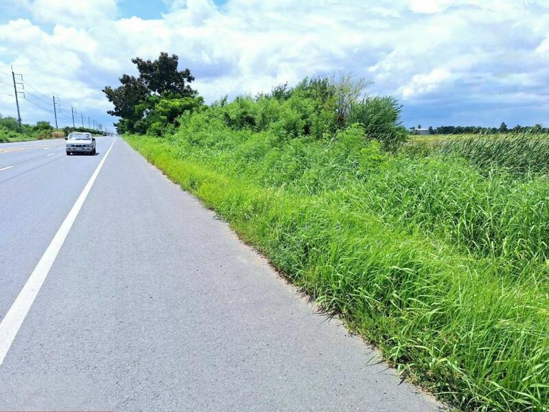 ขาย - ที่ดินโคกโคเฒ่า สุพรรณบุรี, สุพรรณบุรี