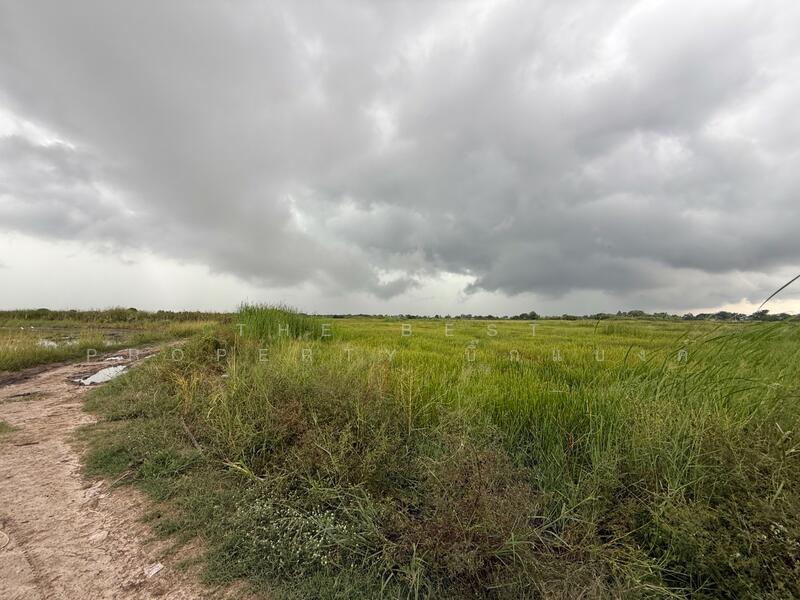 For Sale - ที่ดินพานทอง ชลบุรี, Chon Buri