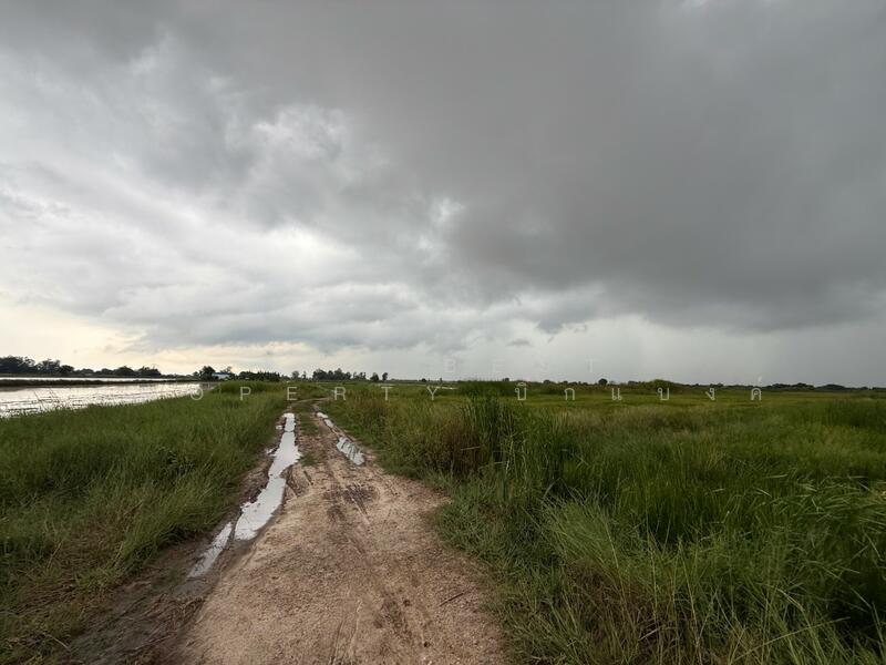 ขาย - ที่ดินพานทอง ชลบุรี, ชลบุรี