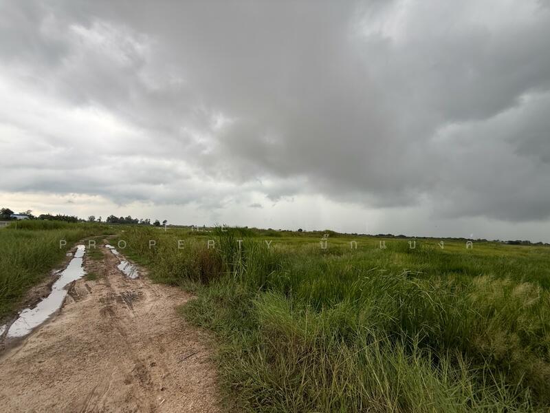 ขาย - ที่ดินพานทอง ชลบุรี, ชลบุรี