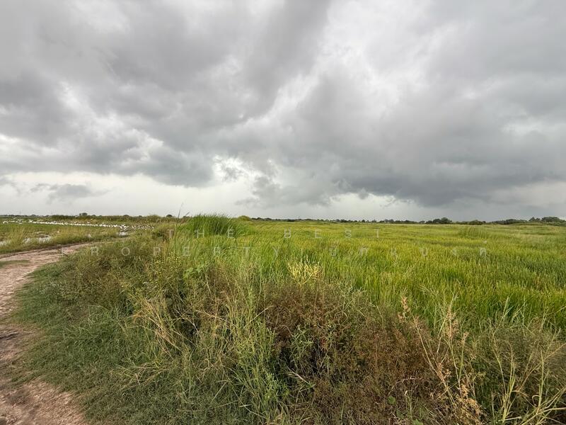 ขาย - ที่ดินพานทอง ชลบุรี, ชลบุรี