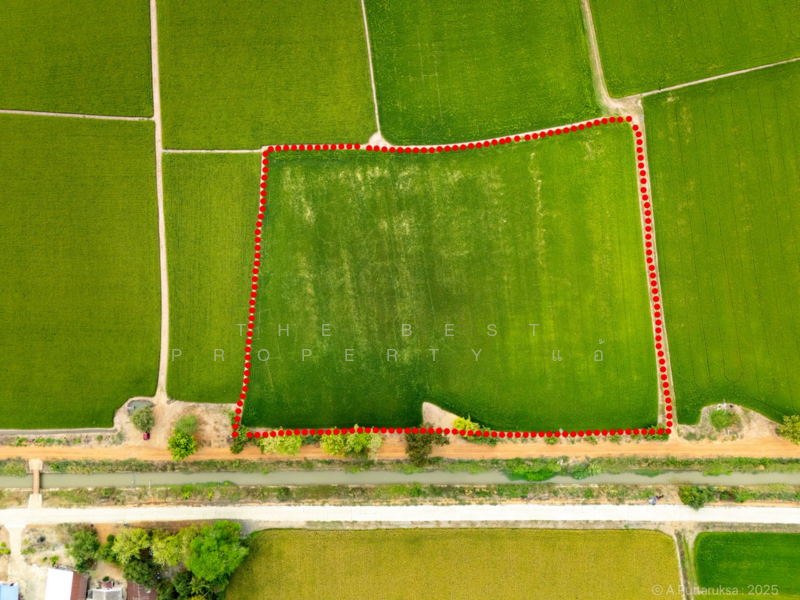 ที่ดินวัดสิงห์ ชัยนาท, Chai Nat, Nong Noi, Wat Sing, Chai Nat, , 10,564 sqm, Land For Sale, by The Best Property แอ้, 60220942 - DDproperty.com