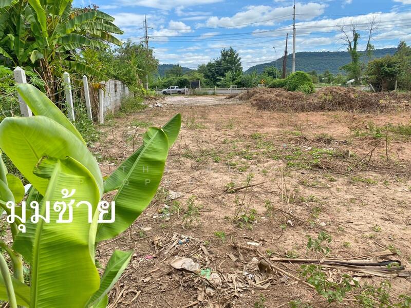 ขาย - ที่ดินกระนวน ขอนแก่น, ขอนแก่น