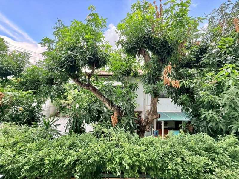 VERDE Sukhumvit 49 : แวร์เด สุขุมวิท 49, กรุงเทพ, 267 ซอยสุขุมวิท 49 แยก 15 ถนนสุขุมวิท, คลองตันเหนือ, วัฒนา, กรุงเทพ, 75 ตร.ม., คอนโด ให้เช่า, โดย Bangkok Residential, 60222575 - DDproperty.com