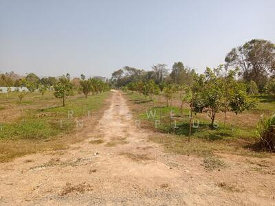 ขาย - ขายที่สวนหัวหว้า 6 ไร่ ติดถนนเส้นปจ.3039 หัวซา-โรจนะ ใกล้ถนน3070-1.9กม. อ.ศรีมหาโพธิ, ปราจีนบุรี