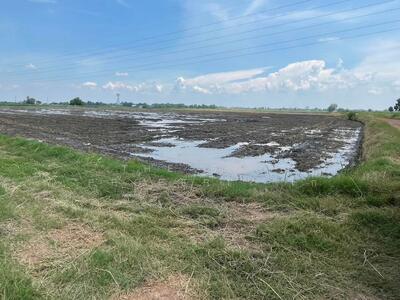 ขาย - ที่ดินบางน้ำเปรี้ยว ฉะเชิงเทรา, ฉะเชิงเทรา