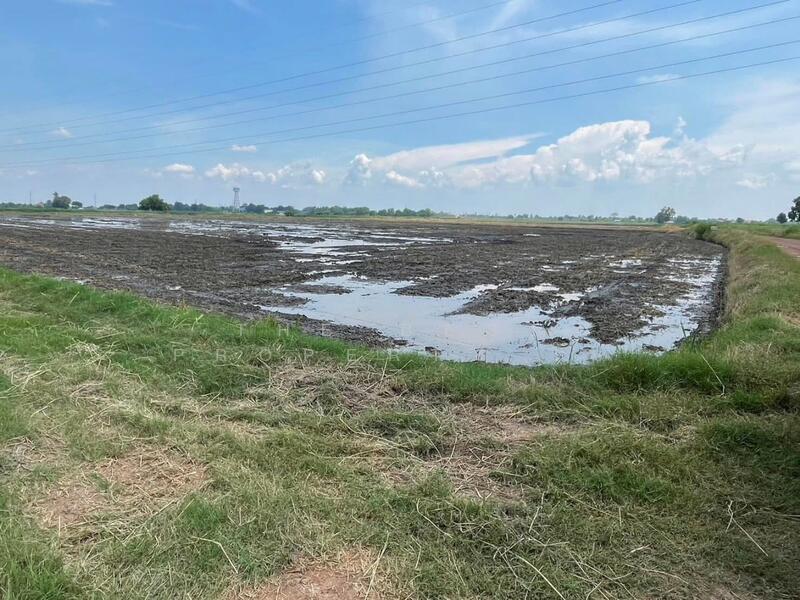 ขาย - ที่ดินบางน้ำเปรี้ยว ฉะเชิงเทรา, ฉะเชิงเทรา