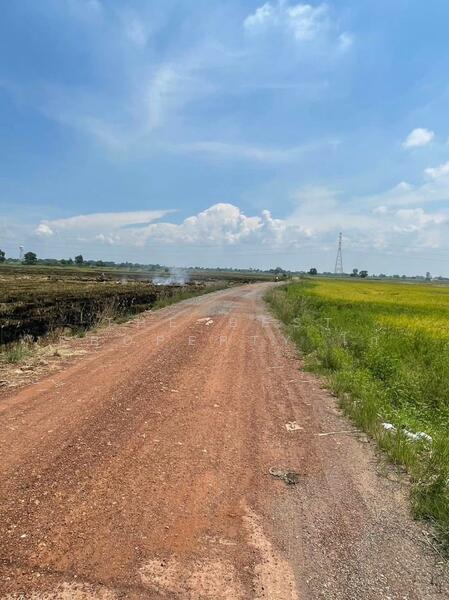 ขาย - ที่ดินบางน้ำเปรี้ยว ฉะเชิงเทรา, ฉะเชิงเทรา