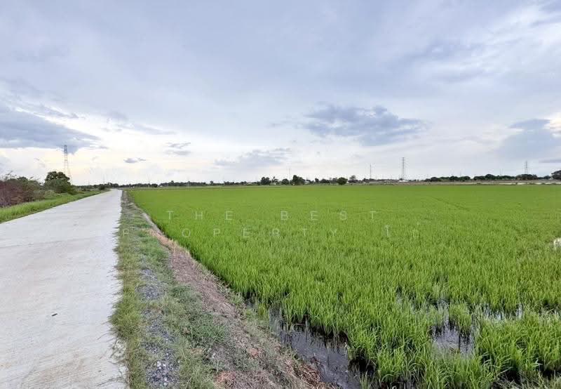 ที่ดินบางน้ำเปรี้ยว ฉะเชิงเทรา, chachoengsao, Bang Khanak, Bang Nam Prieo, Chachoengsao, , 48,000 sqm, Land For Sale, by The Best Property โก๋, 60224034 - DDproperty.com