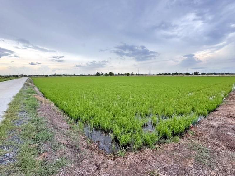 ที่ดินบางน้ำเปรี้ยว ฉะเชิงเทรา, ฉะเชิงเทรา, บางขนาก, บางน้ำเปรี้ยว, ฉะเชิงเทรา, 48,000 ตร.ม., ที่ดิน ขาย, โดย The Best Property โก๋, 60224034 - DDproperty.com