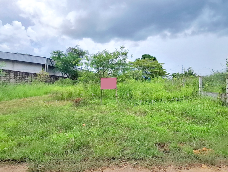 ขาย - ที่ดินเหนือเมือง ร้อยเอ็ด, ร้อยเอ็ด