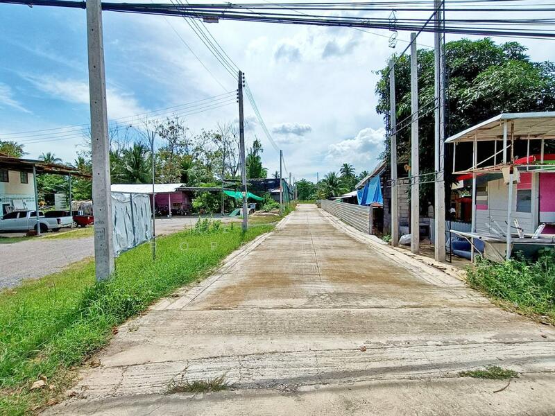 ขาย - ที่ดินอัมพวา สมุทรสงคราม, สมุทรสงคราม