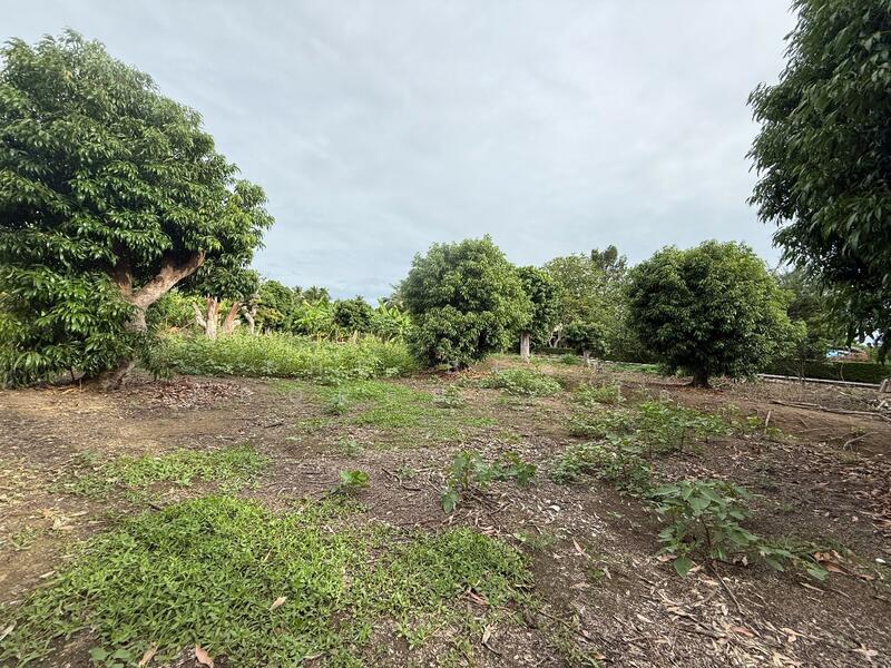 For Sale - ที่ดินอัมพวา สมุทรสงคราม, Samut Songkhram