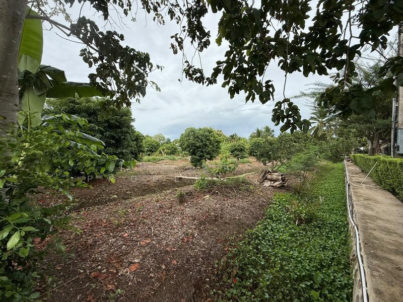 For Sale - ที่ดินอัมพวา สมุทรสงคราม, Samut Songkhram