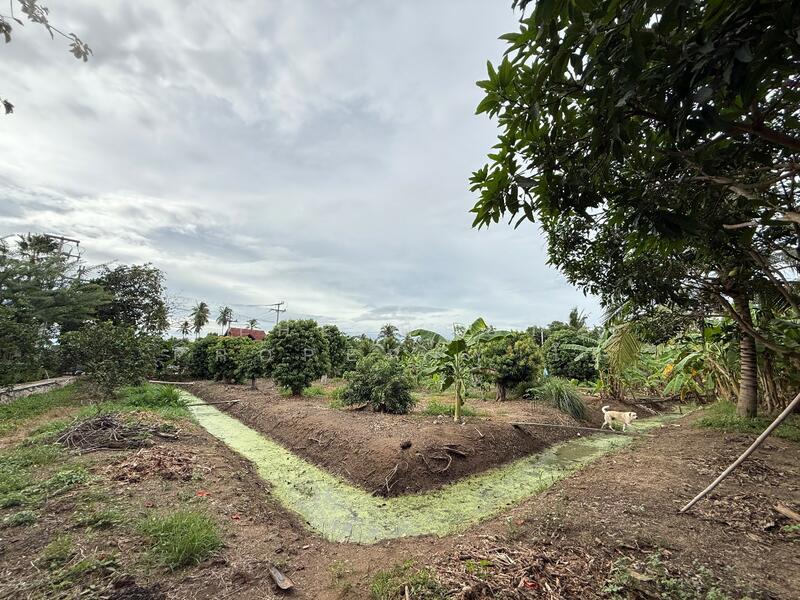 For Sale - ที่ดินอัมพวา สมุทรสงคราม, Samut Songkhram