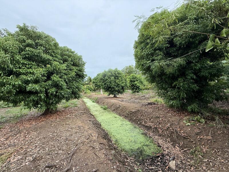 For Sale - ที่ดินอัมพวา สมุทรสงคราม, Samut Songkhram