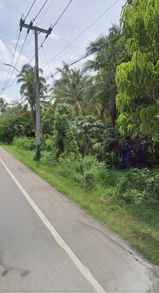 For Sale - ที่ดินอัมพวา สมุทรสงคราม, Samut Songkhram