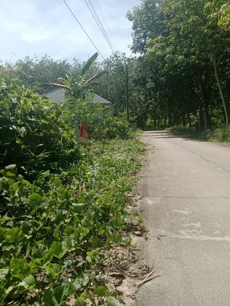 ขาย - ที่ดินบ้านค่าย ระยอง, ระยอง