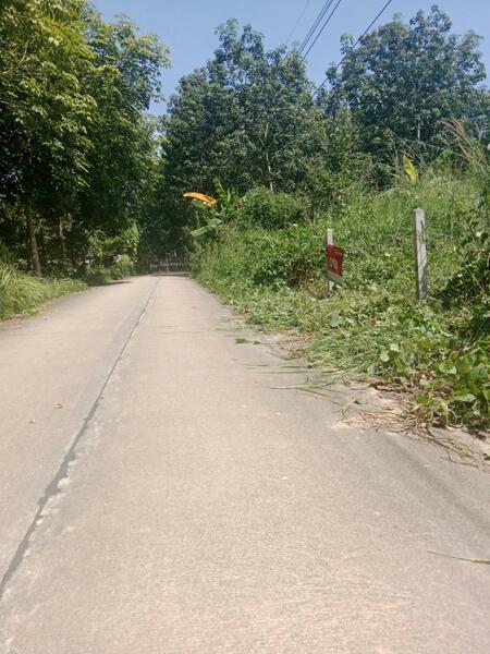 ขาย - ที่ดินบ้านค่าย ระยอง, ระยอง