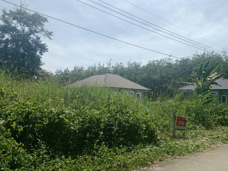 ขาย - ที่ดินบ้านค่าย ระยอง, ระยอง