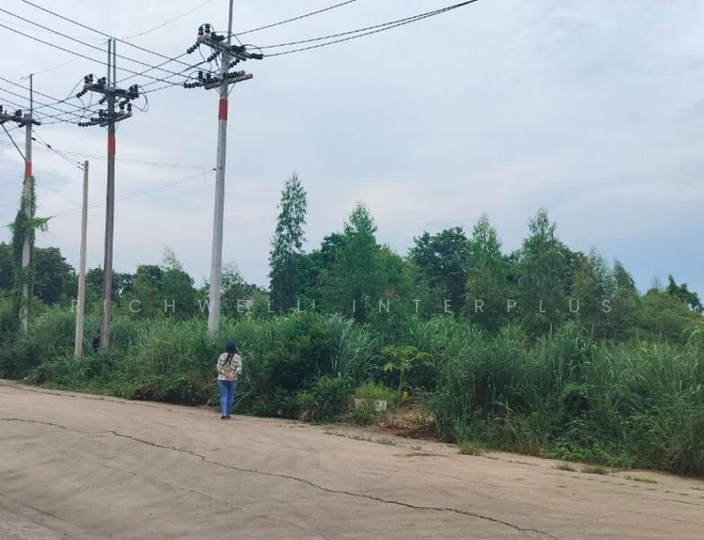 ขาย - ขายที่ดินคลองหลวงแพ่งเริ่มต้น 243 ตรว. หลังตลาดคลองเจ้า ใกล้ถนนสุวินทวงศ์304-500เมตร, ฉะเชิงเทรา